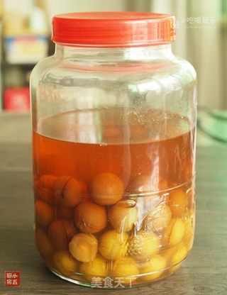 李子酒：源自古方的“驻色酒”的做法步骤：9