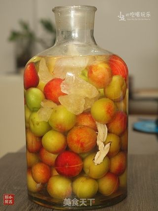 李子酒：源自古方的“驻色酒”的做法步骤：7