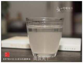 李子果汁:炎炎夏日的清新果香的做法步骤:11