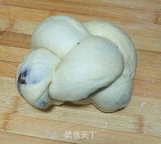 可可双色面包的做法步骤:9