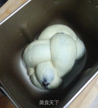 可可双色面包的做法步骤:10