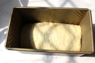 【发评论,赢海尔智能烤箱试用报告】可可双色吐司的做法步骤:9