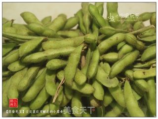 茶香毛豆：炎炎夏日可解乏的小零食的做法步骤：1