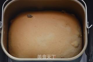 葡萄干枸杞吐司的做法步骤:7