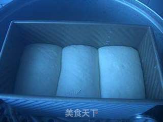 乳清中种土司的做法步骤:14