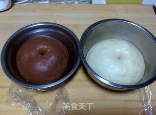 【蜜豆可可双色吐司】——手工整形面包机版的做法步骤:10