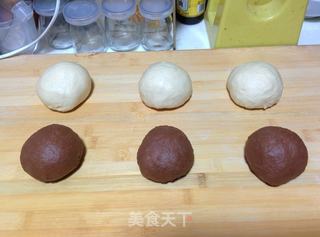 【蜜豆可可双色吐司】——手工整形面包机版的做法步骤:11