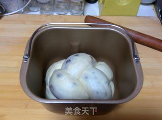 【蜜豆可可双色吐司】——手工整形面包机版的做法步骤：21