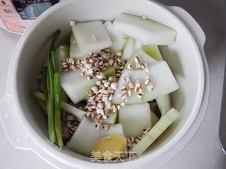 冬瓜薏米骨汤的做法步骤:7
