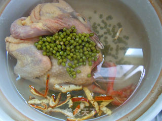 预防痱子从食物做起---老鸽煲绿豆的做法步骤:4