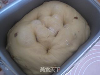 红糖红枣吐司的做法步骤:6