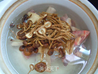 砂锅煲汤--茶树菇煲鸭汤的做法步骤:4