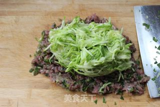 叫我怎能忘记它——葫芦肉饺的做法步骤:5