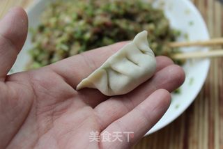 叫我怎能忘记它——葫芦肉饺的做法步骤：14