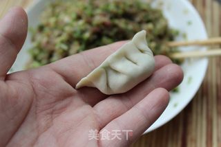叫我怎能忘记它——葫芦肉饺的做法步骤:14