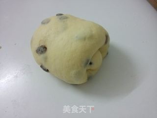 面包机版葡萄干牛奶吐司(中种法)的做法步骤:12