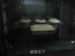 夏日轻食——无油枣泥酸奶小蛋糕的做法步骤:5