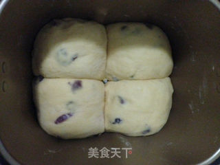 汤种蔓越莓南瓜面包的做法步骤:16