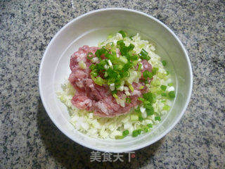 圆白菜猪肉馅锅贴的做法步骤：2