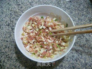 圆白菜猪肉馅锅贴的做法步骤：7