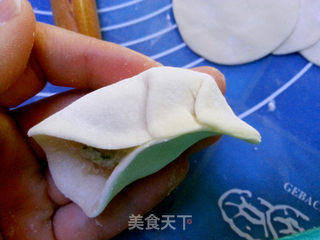 蒲菜水饺的做法步骤：11