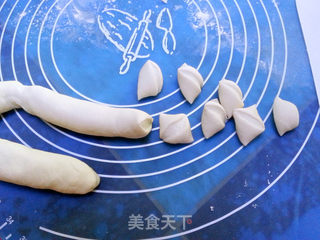 蒲菜水饺的做法步骤:7