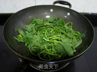 清炒南瓜苗的做法步骤:4