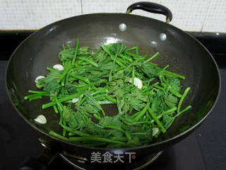 清炒南瓜苗的做法步骤:5