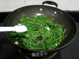 清炒南瓜苗的做法步骤:6