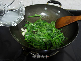 清炒南瓜苗的做法步骤:7