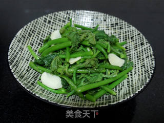 清炒南瓜苗的做法步骤:8