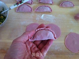 紫菜虾皮饺子馄饨的做法步骤:6