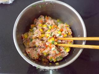 彩椒鲜肉饺子的做法步骤:3