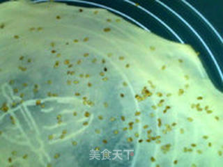 芝麻脆片的做法步骤:9