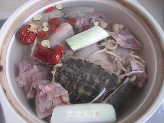 冬补---甲鱼母鸡汤的做法步骤：5