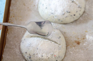 免揉也有好味道:【胚芽脆皮法国芝麻球】(另附简易割包刀的做法)的做法步骤:13