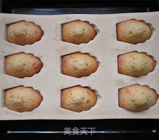 柠香玛德琳（Madeleines）的做法步骤：6