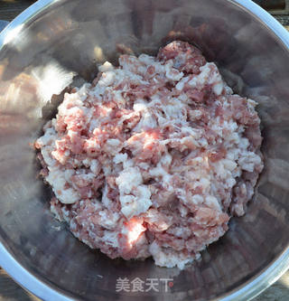 自制广式腊肠(附肠衣做法)的做法步骤:9