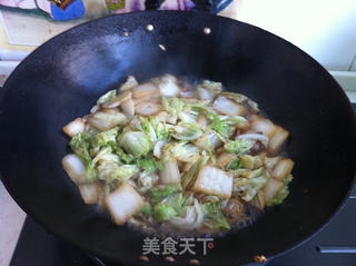 白菜炖豆腐的做法步骤:7