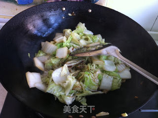 白菜炖豆腐的做法步骤:6