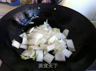 白菜炖豆腐的做法步骤:3