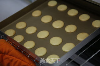蛋黄小西饼(烤箱做饼干,简单又好吃)的做法步骤:10