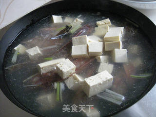 红头鱼豆腐汤的做法步骤:8