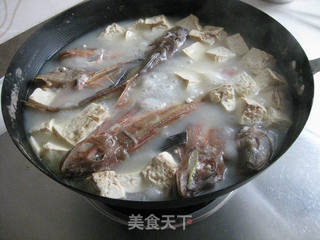 红头鱼豆腐汤的做法步骤：9