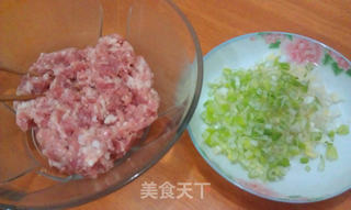 菰米鲜肉云吞的做法步骤:3