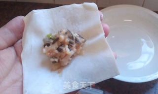 菰米鲜肉云吞的做法步骤:7