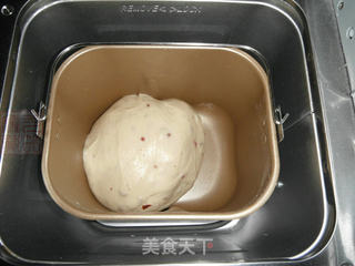 奶香蔓越莓餐包的做法步骤:4