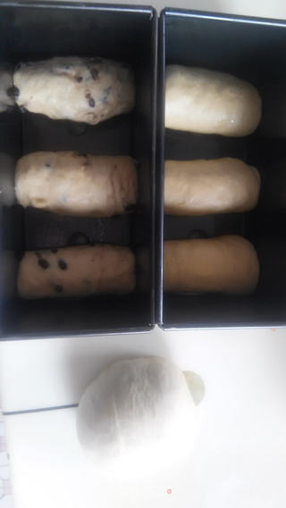 土司,蜜豆土司的做法步骤:7