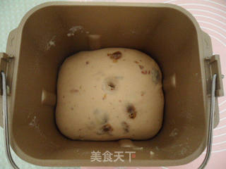 中种葡萄干吐司的做法步骤:6