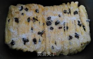 千层椰香黑加仑土司的做法步骤：13